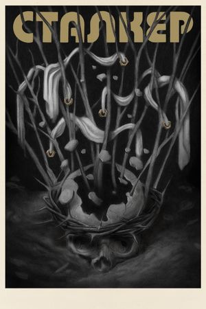 Stalker's poster