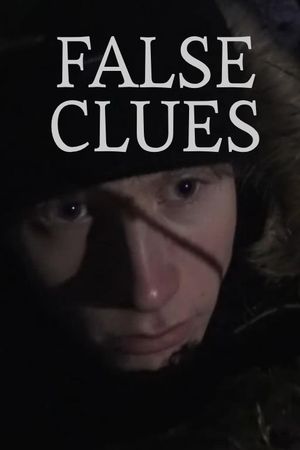 False Clues's poster