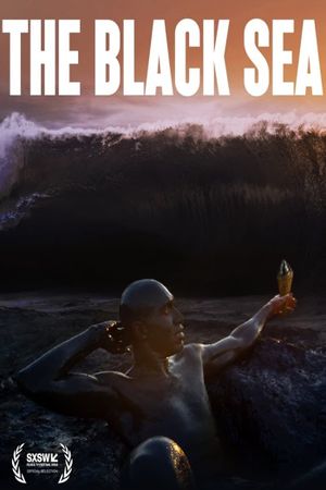 The Black Sea's poster