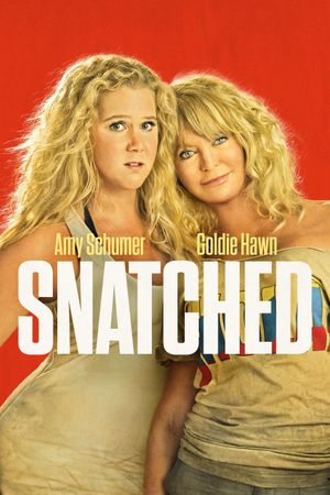 Snatched's poster