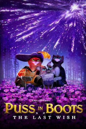 Puss in Boots: The Last Wish's poster