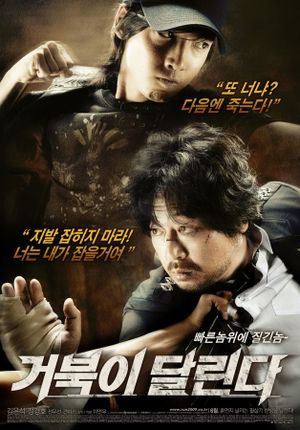 Running Turtle's poster