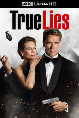 True Lies's poster