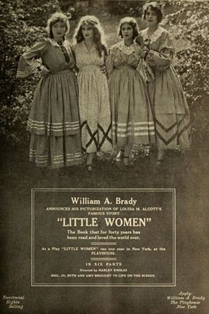 Little Women's poster