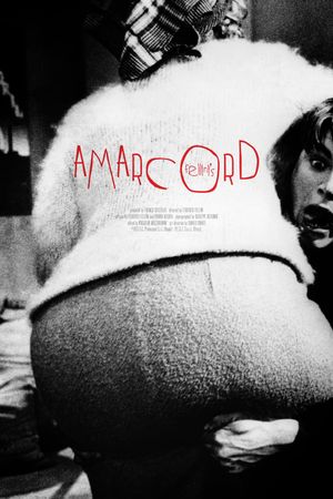 Amarcord's poster