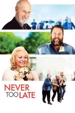 Never Too Late's poster