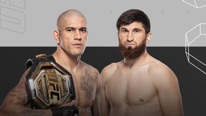 UFC 313: Pereira vs. Ankalaev's poster