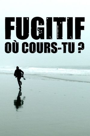 Fugitif, où cours-tu?'s poster