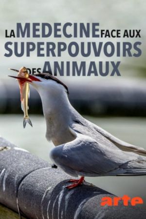 Wild Medicine - The Superpowers of Animals's poster