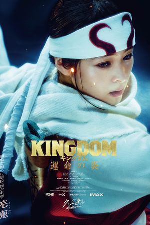 Kingdom 3: The Flame of Destiny's poster