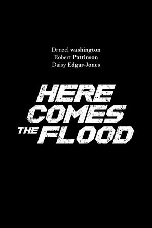 Here Comes the Flood's poster