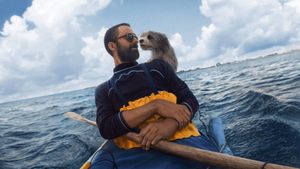 Pets's poster