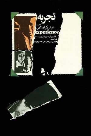 The Experience's poster
