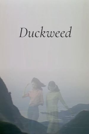 Duckweed's poster