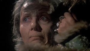 Countess Dracula's poster