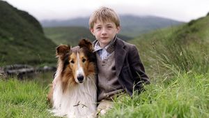 Lassie's poster