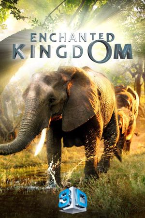 Enchanted Kingdom's poster