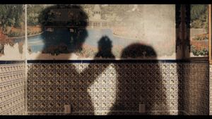 Las Cosas Que Se Van's poster