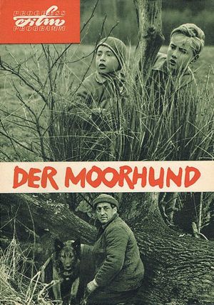 Der Moorhund's poster