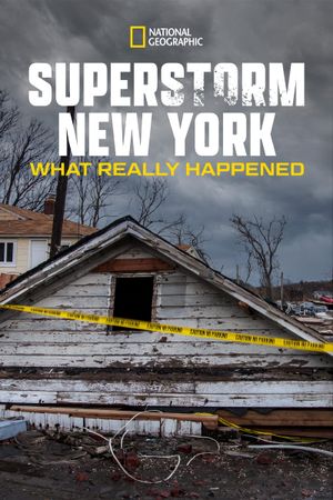 Superstorm New York: What Really Happened's poster