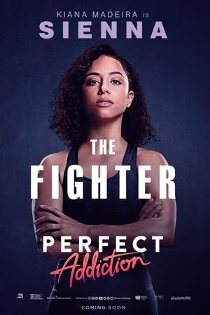 Perfect Addiction's poster