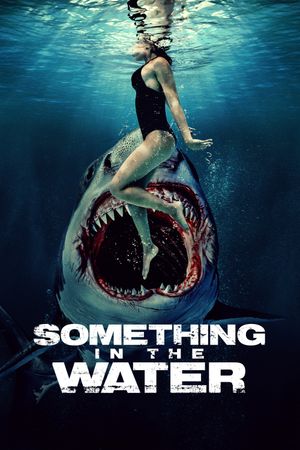 Something in the Water's poster