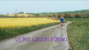 Les deux couleurs d'Ortance's poster