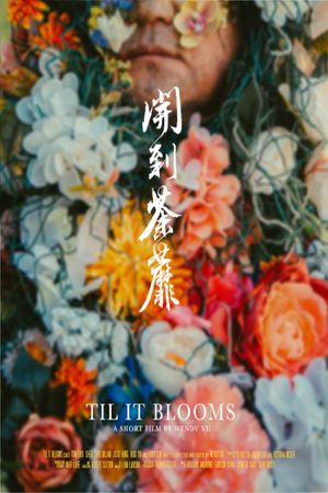 Til It Blooms's poster