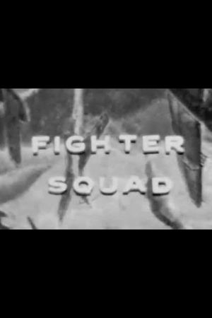 Fighter Squad's poster