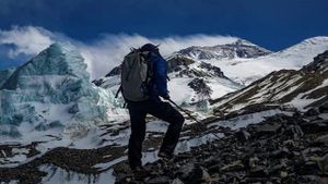To Live or Die on Everest's poster