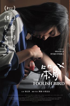 The Foolish Bird's poster