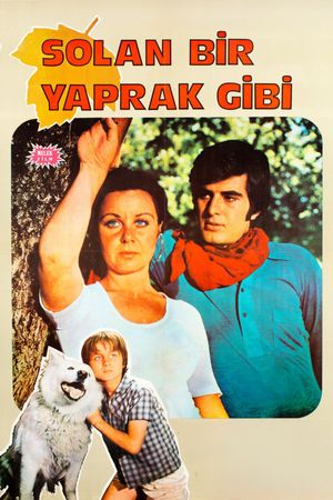 Solan Bir Yaprak Gibi's poster