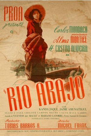 Río abajo's poster