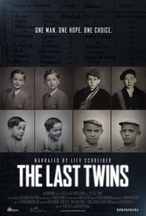 The Last Twins's poster