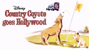 A Country Coyote Goes Hollywood's poster