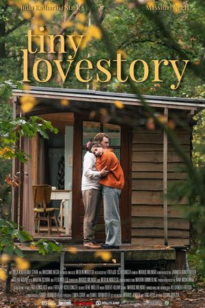 Tiny Lovestory's poster