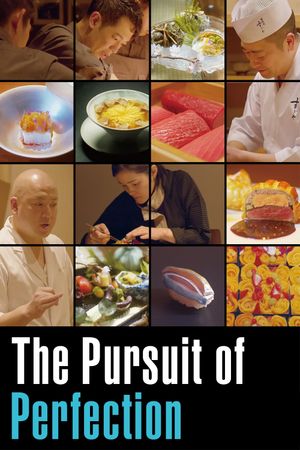 The Pursuit of Perfection's poster