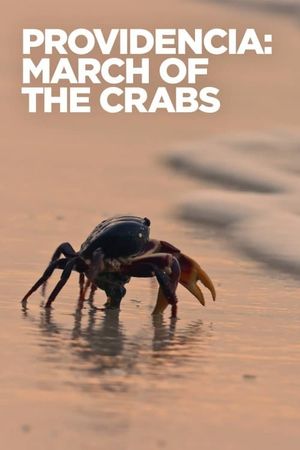 Providencia March of the Crabs's poster