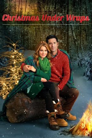 Christmas Under Wraps's poster