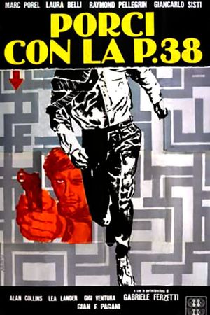 Porci con la P.38's poster