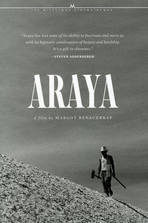Araya's poster