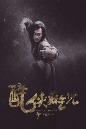 Master of the Drunken Fist: Beggar So's poster image
