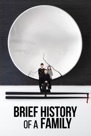 Brief History of a Family's poster