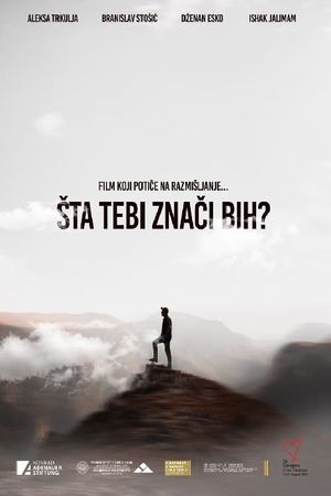 Sta Tebi Znaci BiH?'s poster