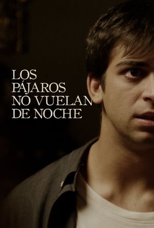 Los pájaros no vuelan de noche's poster