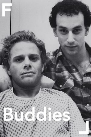 Buddies's poster