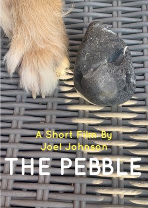 The Pebble's poster
