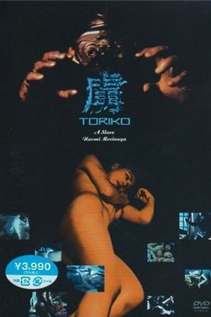 Toriko: Eyes of a Rapist's poster