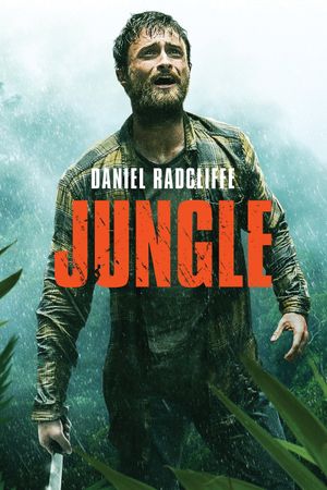 Jungle's poster