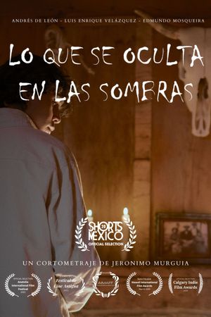WHAT HIDES WHITIN THE SHADOWS's poster